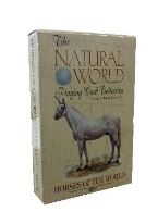 Natural world of horses
