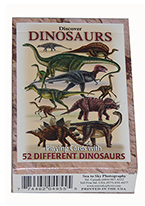 DISCOVER DINOSAURS