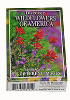 DISCOVER WILDFLOWERS