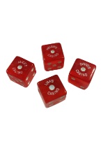 PERSONALIZED DICE 