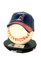 CLEVELAND INDIANS CARD PROTECTO